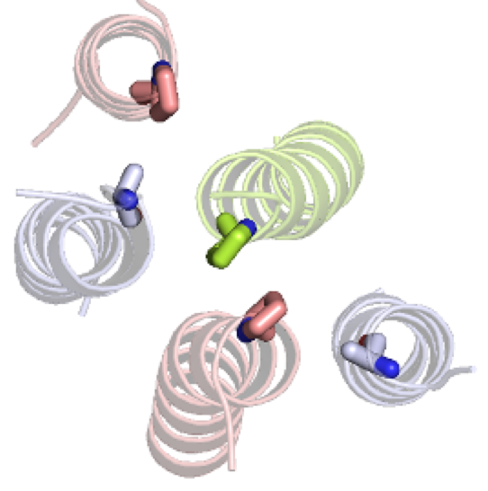 Open-state dynamics and allosteric modulation of the &alpha;1&beta;3&gamma;2 GABAA receptor stabilized by L9'T/S substitutions