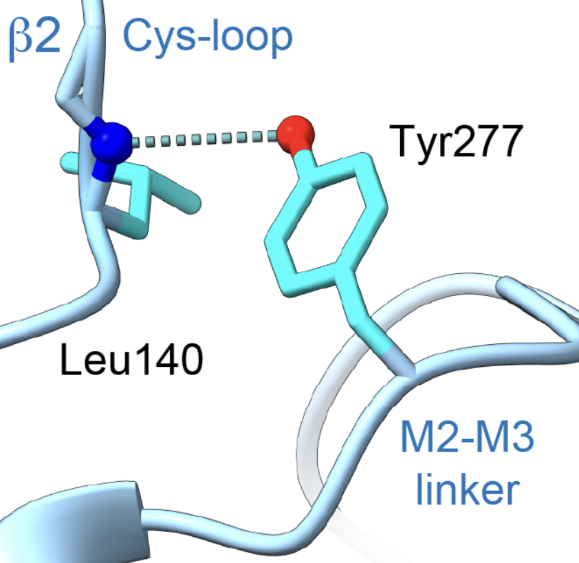 An atomic interaction conserved for over 600 million years gates inhibitory neurotransmission